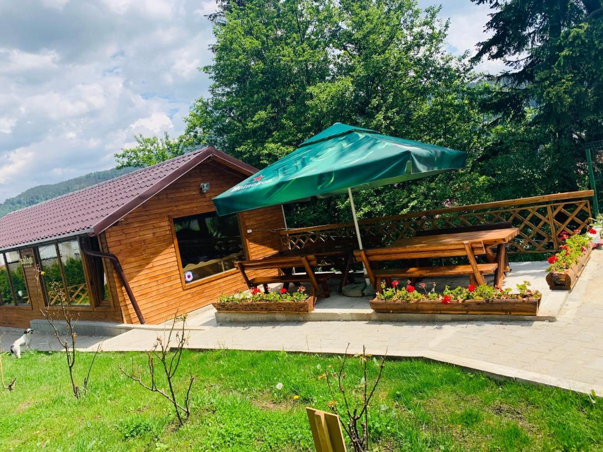 Casa Belcin Spa&Retreat Busteni Exterior photo